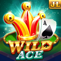 Game Image Wild Ace